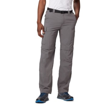 Columbia Silver Ridge Convertible Big, Pantalones Grises Para Hombre | 658301-ZLX